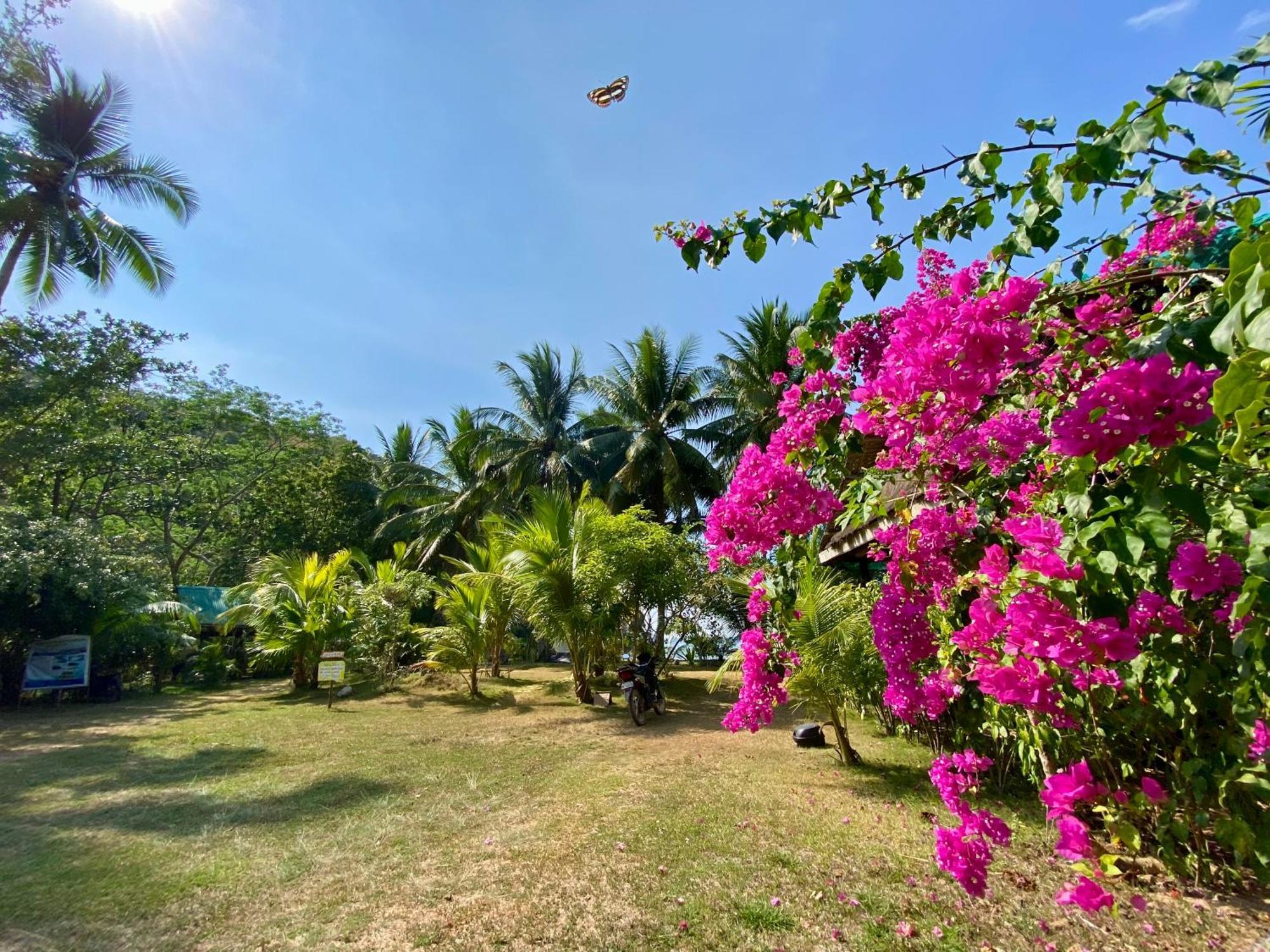 Ocamocam Beach Nature Resort New Busuanga Exterior photo